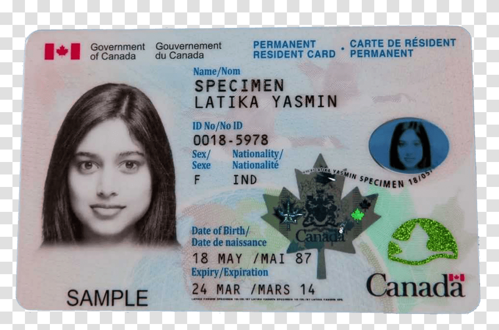 Canada Pr Card, Driving License, Document, Person Transparent Png
