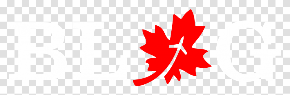 Canada Transfers Blog, Leaf, Plant, Tree, Maple Leaf Transparent Png