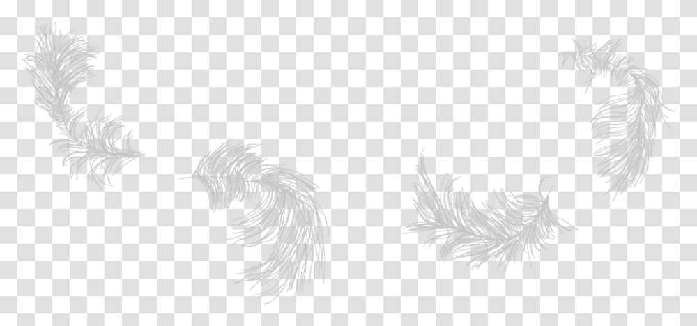 Canadian Aboriginal Hair Drawing, Chicken, Poultry, Fowl, Bird Transparent Png