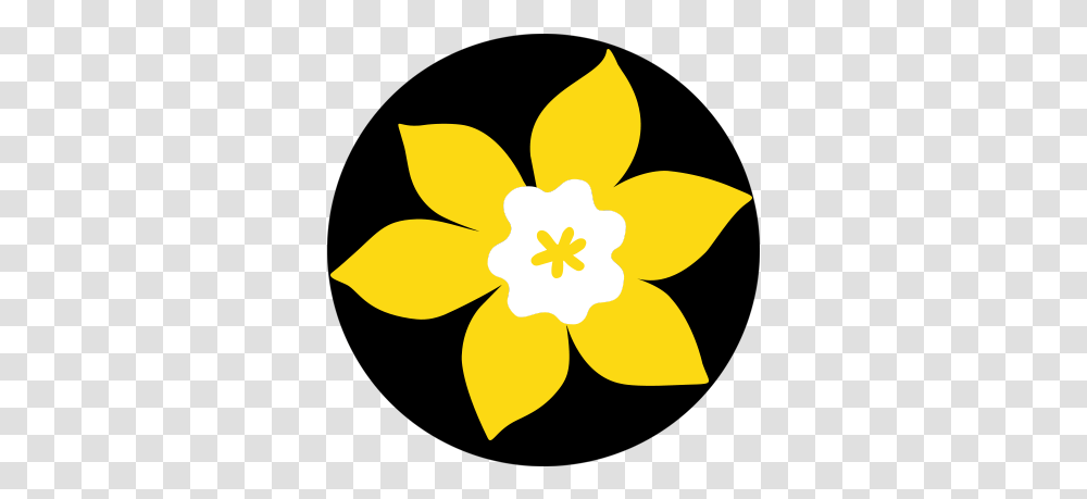 Canadian Cancer Society Bcy Cancersocietybc Twitter Canadian Cancer Society Campaign, Plant, Flower, Blossom, Daffodil Transparent Png