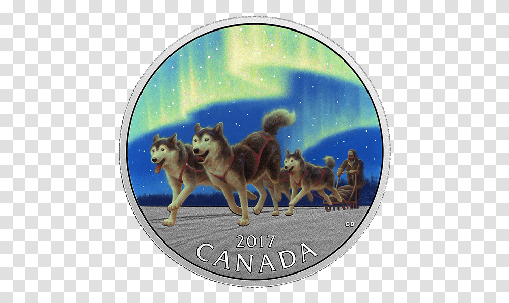 Canadian Coin Northern Lights, Person, Human, Dog, Pet Transparent Png
