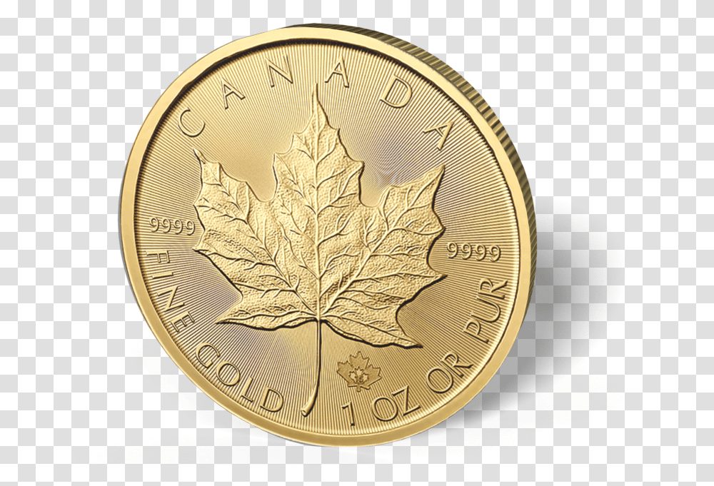 Canadian Gold Maple Leaf, Coin, Money, Plant, Clock Tower Transparent Png