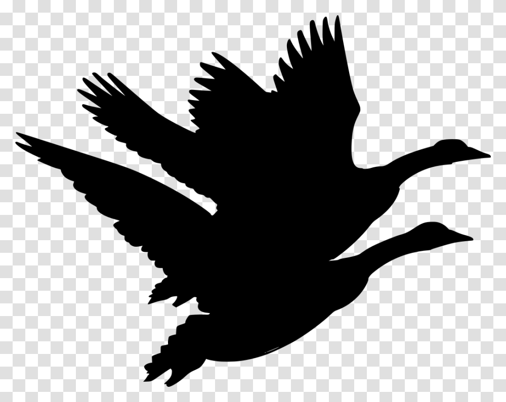 Canadian Goose Clipart, Gray, World Of Warcraft Transparent Png