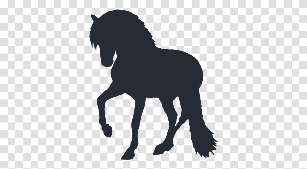Canadian Hay Ranch Canadian Horse Logo, Silhouette, Mammal, Animal, Foal Transparent Png