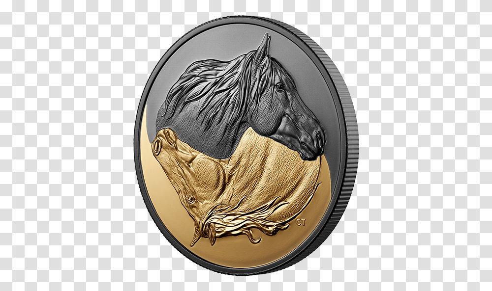 Canadian Horse Coin, Money, Mammal, Animal, Gold Transparent Png
