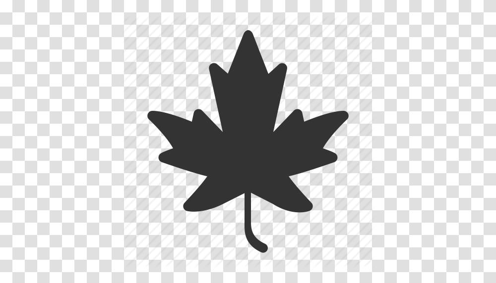 Canadian Leaf Black Autumn Canada Canadian Fall Leaf, Plant, Airplane, Aircraft, Vehicle Transparent Png