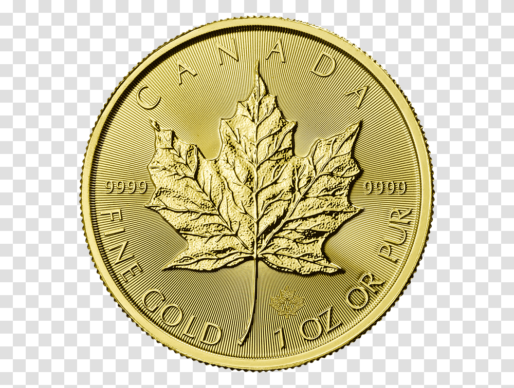 Canadian Maple Leaf 2018 1 Oz Gold CoinSrc Https Canadian Gold Maple Leaf, Plant Transparent Png