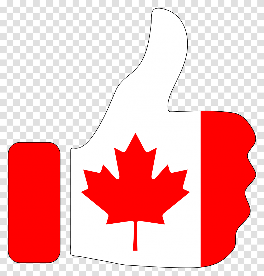 Canadian Maple Leaf Canada Flag, Plant, Tree, Ketchup, Food Transparent Png