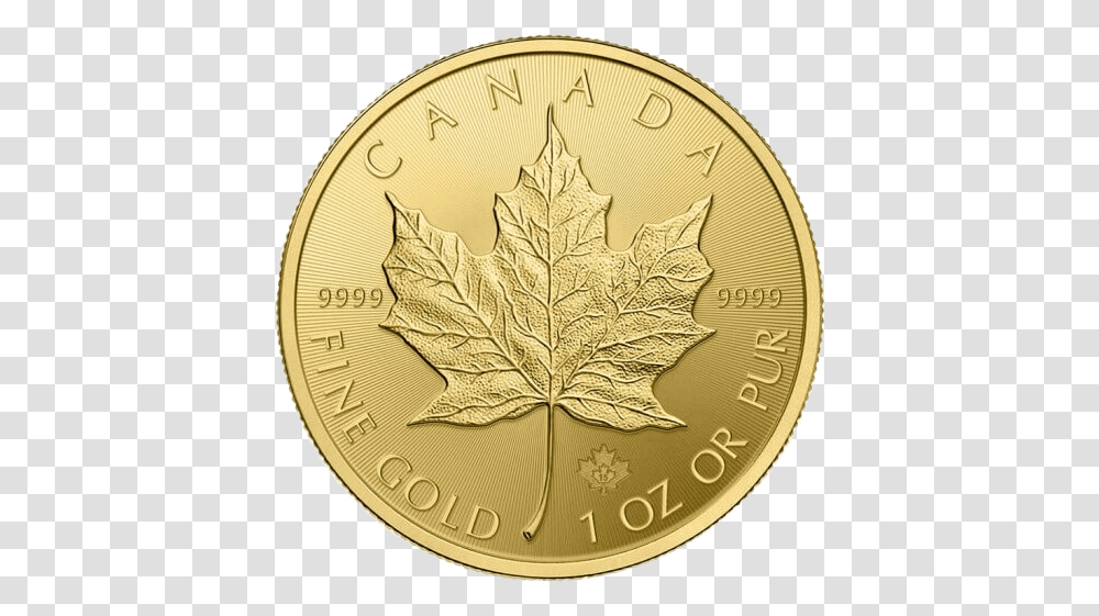 Canadian Maple Leaf Gold Coin Canadian Mint Gold Coins, Money, Plant, Clock Tower, Architecture Transparent Png