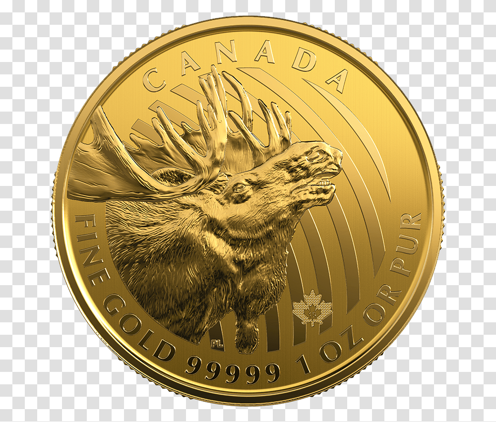 Canadian Maple Leaf, Money, Gold, Coin, Clock Tower Transparent Png