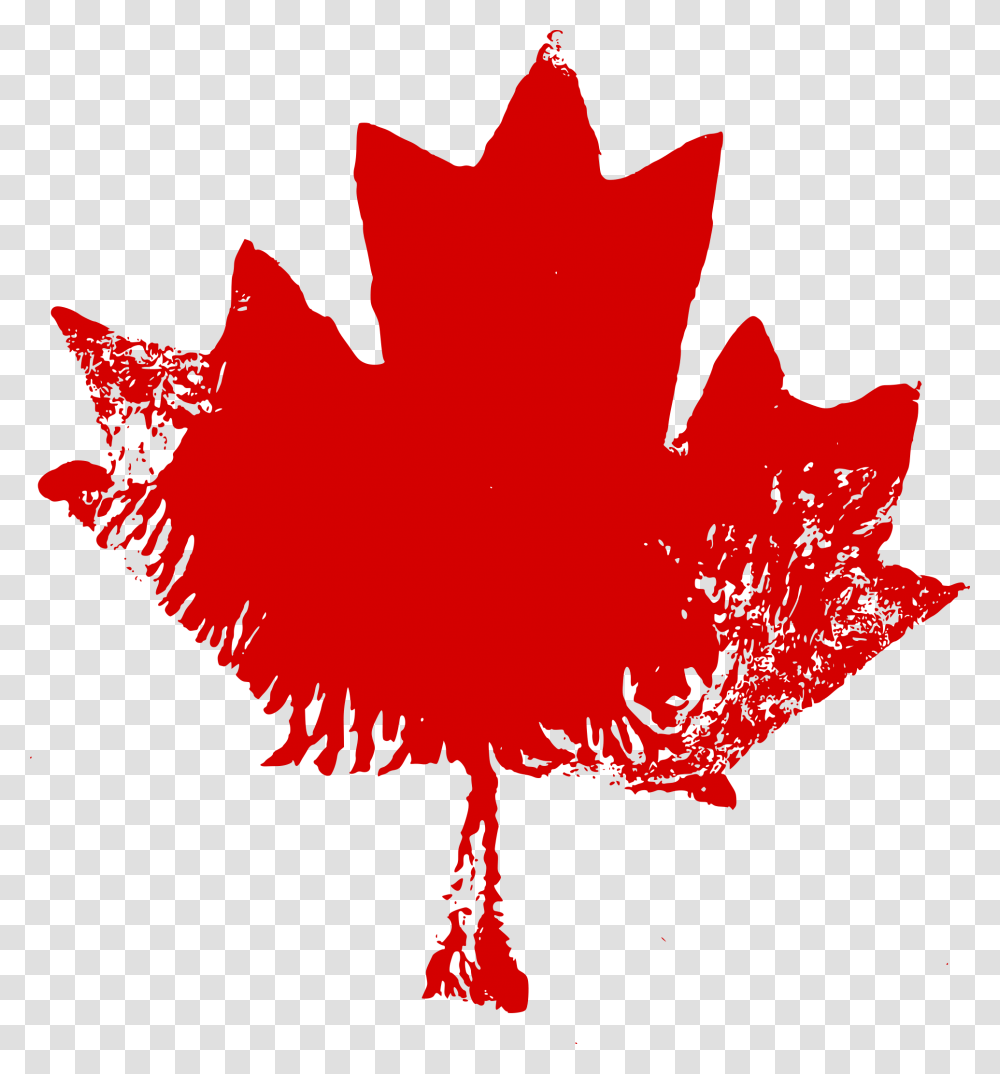 Canadian Maple Leaf, Plant, Tree Transparent Png