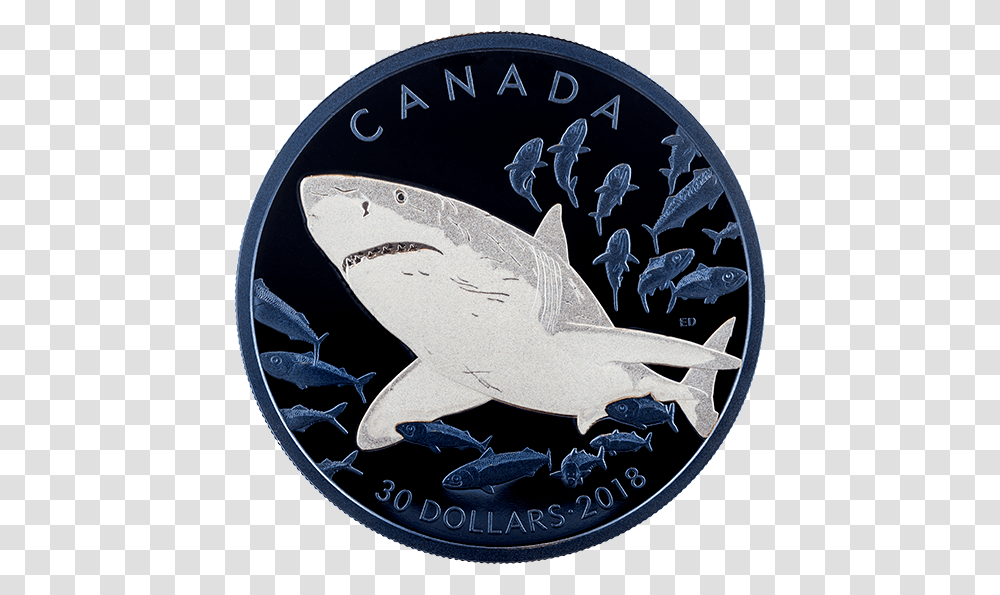 Canadian Mint Shark Coins, Money, Logo, Trademark Transparent Png