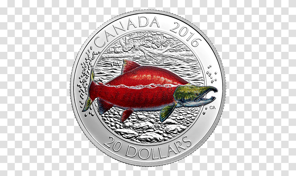 Canadian Mint Turtle Quarter, Money, Coin, Animal, Fish Transparent Png