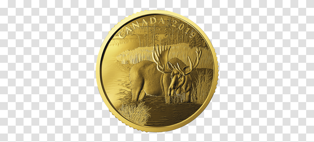 Canadian Moose Gold Coin, Elephant, Wildlife, Mammal, Animal Transparent Png