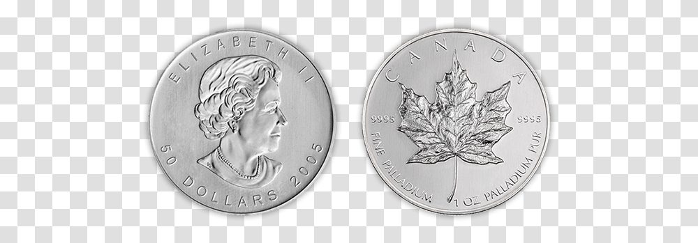 Canadian Palladium Maple Leaf Coins Gold Ira Guide Canadian Silver Maple Leaf, Money, Nickel, Person, Human Transparent Png