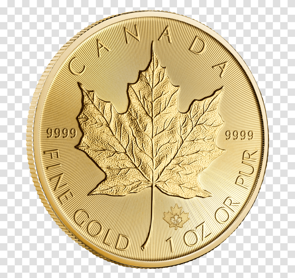 Canadian Silver Maple Leaf, Coin, Money, Plant, Gold Transparent Png