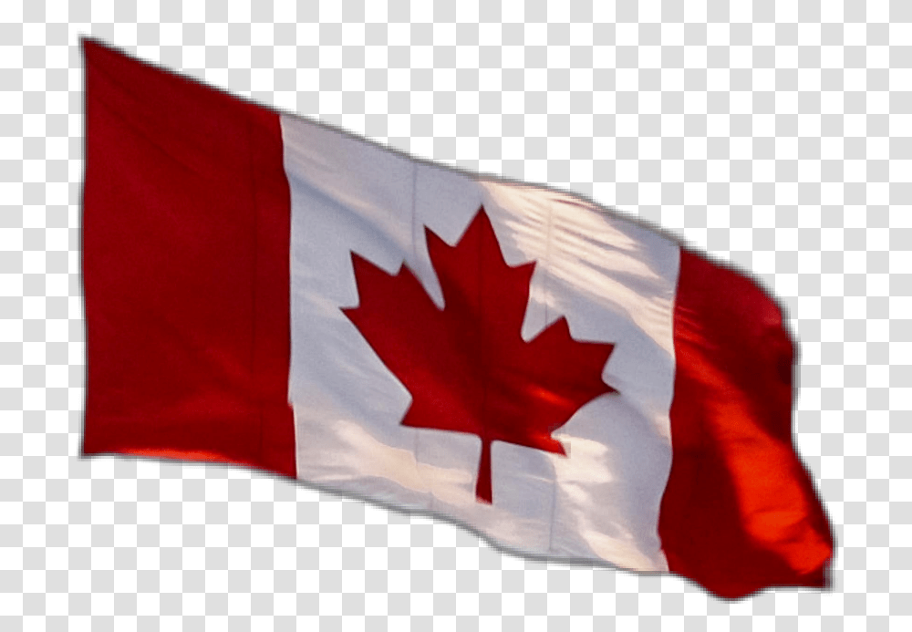 Canadianflag Canadaflag Flag Canada Love Canada, Symbol, American Flag Transparent Png