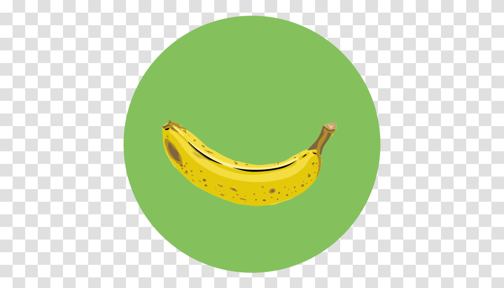 Canary Banana Food Fruit Free Icon Ripe Banana, Plant Transparent Png