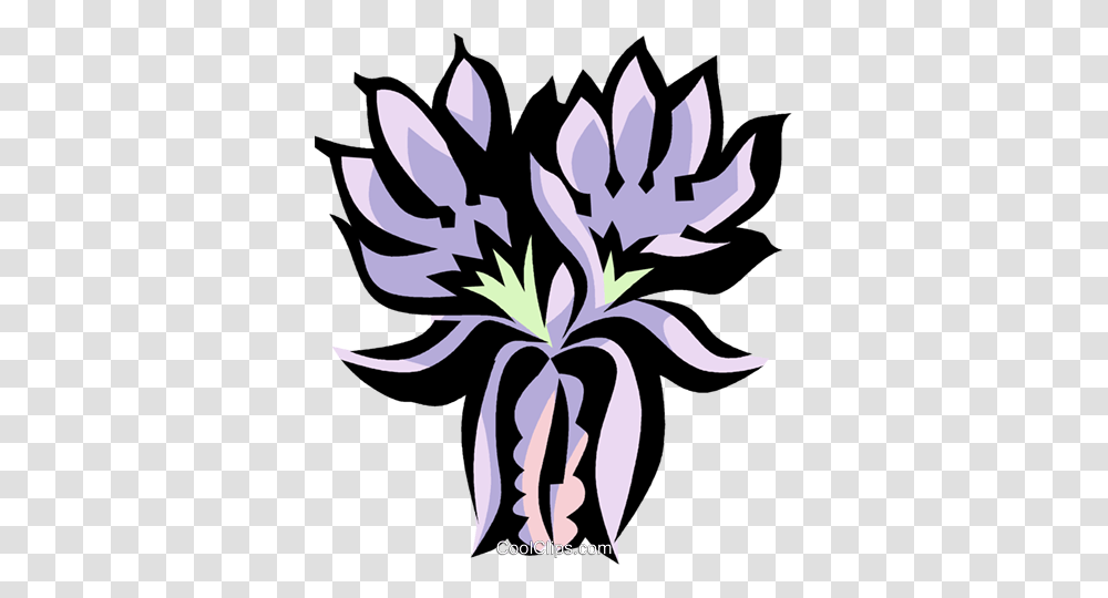 Canary Creeper Royalty Free Vector Clip Art Illustration, Iris, Flower, Plant, Blossom Transparent Png