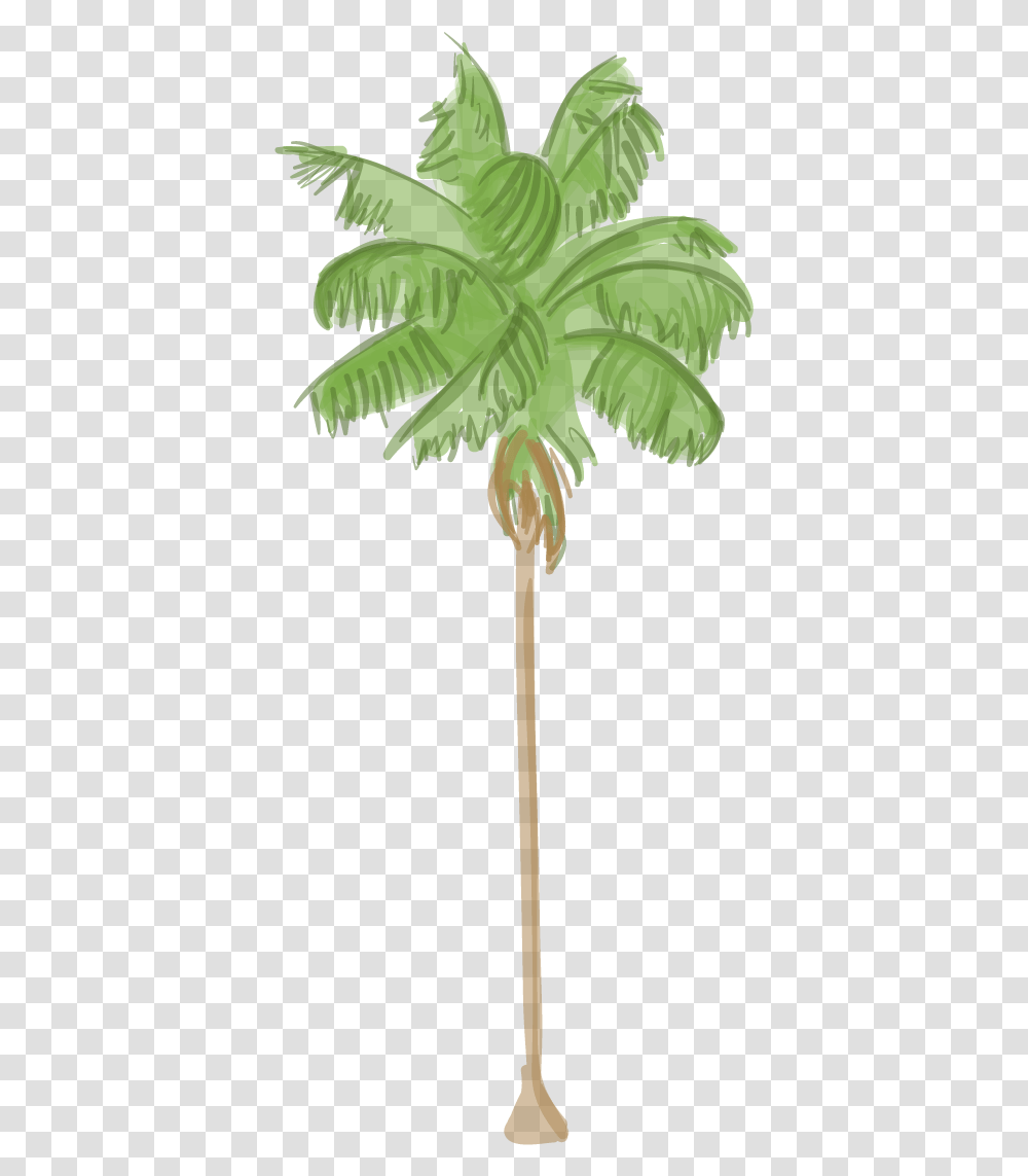 Canary Island Date Palm Los Angeles Palm Tree Symbol, Leaf, Plant, Flower, Fir Transparent Png
