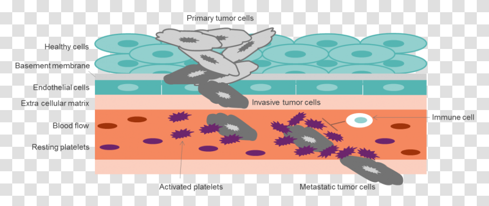 Cancer Cell Illustration, Outdoors, Nature, Water, Ice Transparent Png