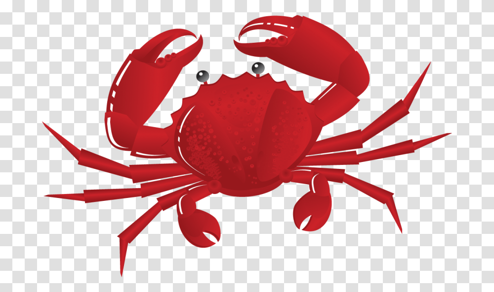Cancer Clipart Baby Crab, Seafood, Sea Life, Animal Transparent Png