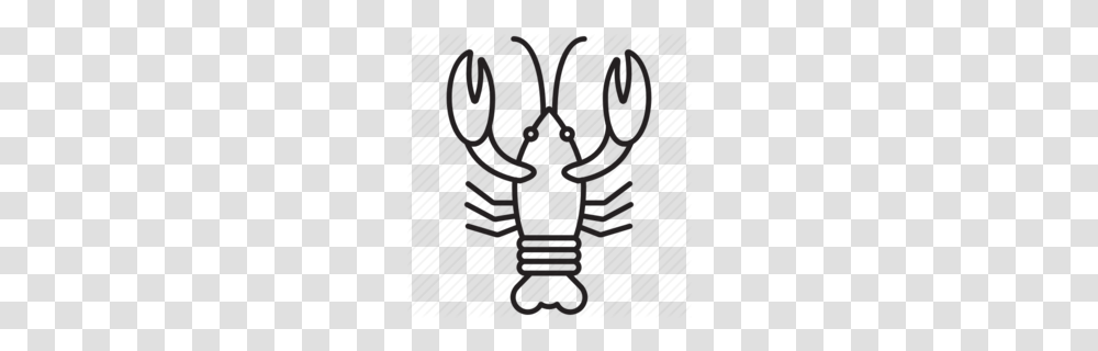 Cancer Clipart, Crawdad, Seafood, Sea Life, Animal Transparent Png