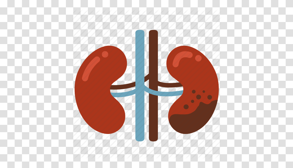 Cancer Disease Ill Infection Kidney Kidney Failure Icon, Stomach, Guitar, Leisure Activities, Musical Instrument Transparent Png