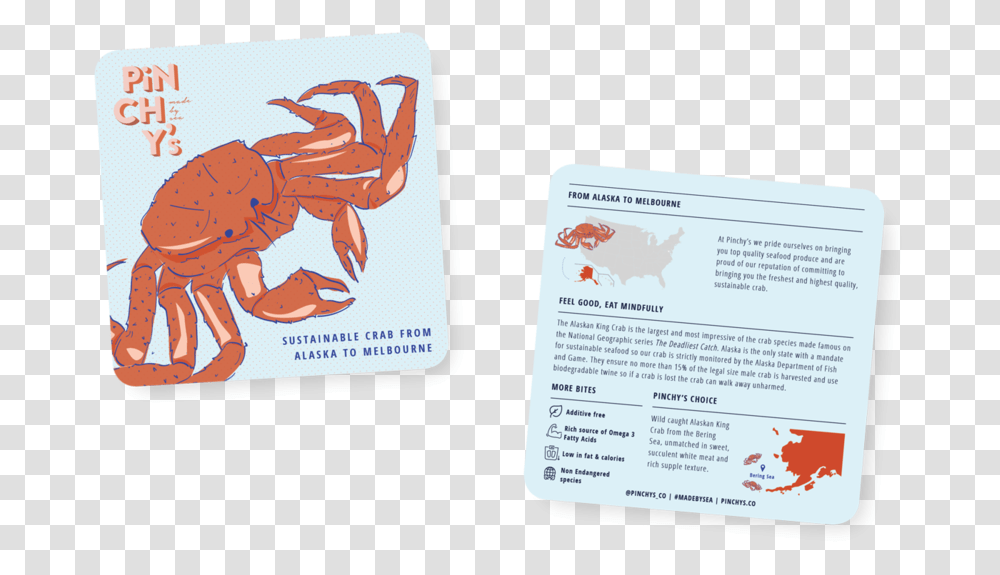 Cancer Homarus, Driving License, Document, Animal Transparent Png