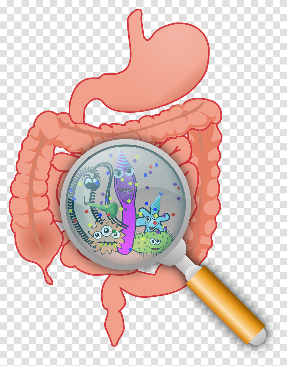 Cancer In The Digestive System Pearlpoint Nutrition Services, Blow Dryer, Appliance, Hair Drier, Birthday Cake Transparent Png