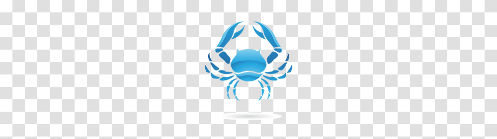 Cancer Zodiac, Nature, Outdoors, Ice, Snow Transparent Png