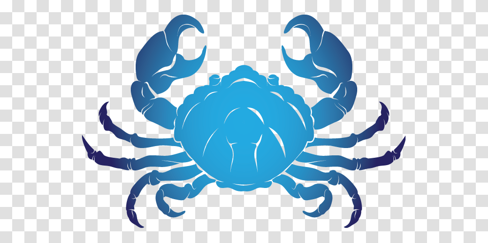 Cancer Zodiac, Sea Life, Animal, Seafood, Crab Transparent Png