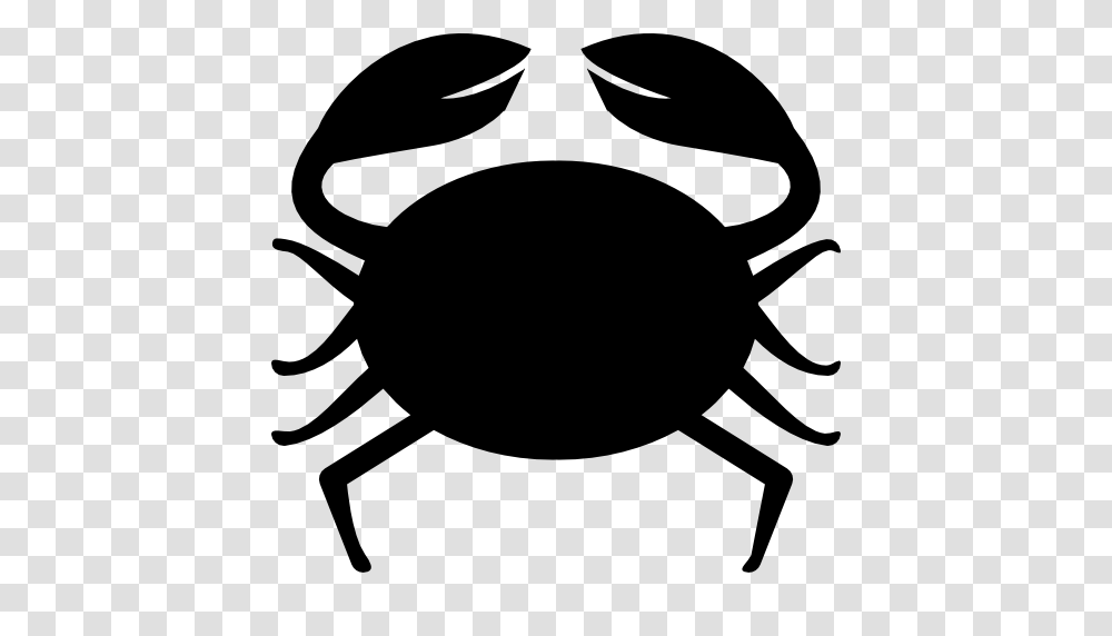 Cancer Zodiac Symbol Free Download, Sea Life, Animal, Seafood, Crab Transparent Png