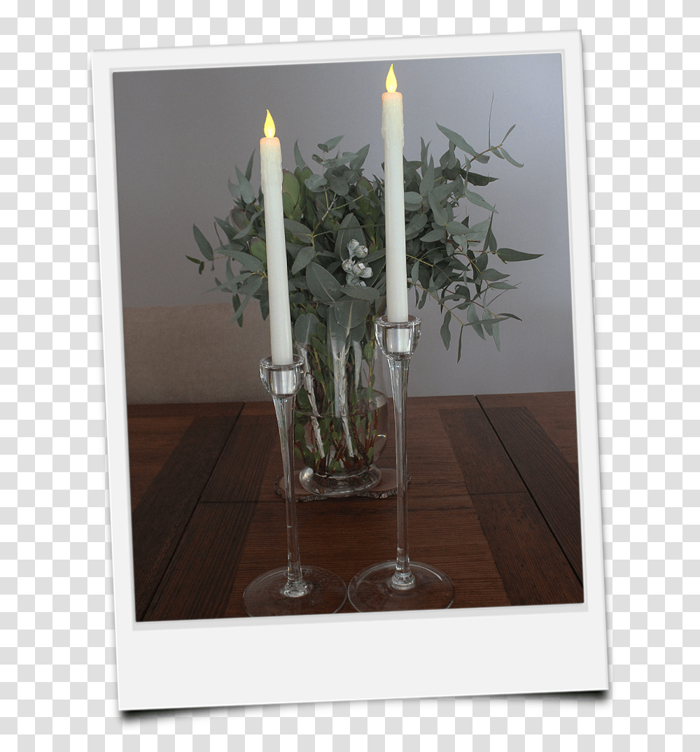 Candle Candle, Plant, Tabletop, Furniture, Flower Transparent Png