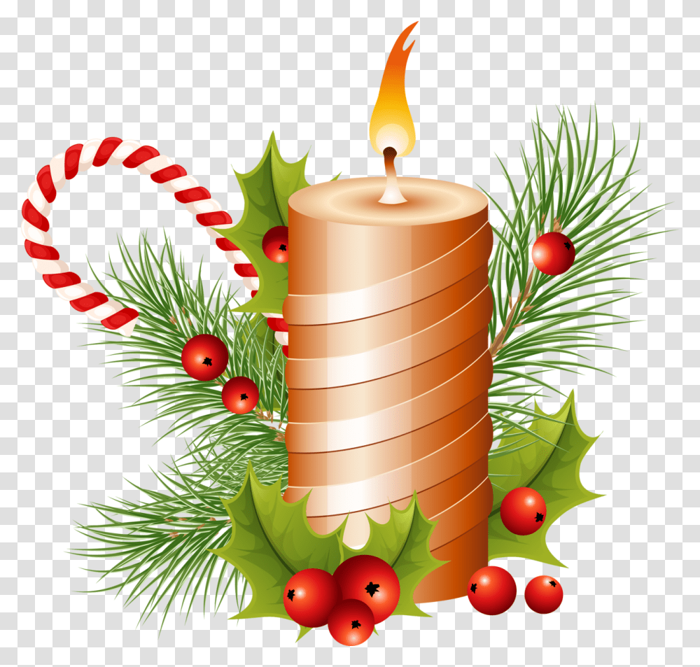 Candle, Conifer, Tree, Plant, Tin Transparent Png