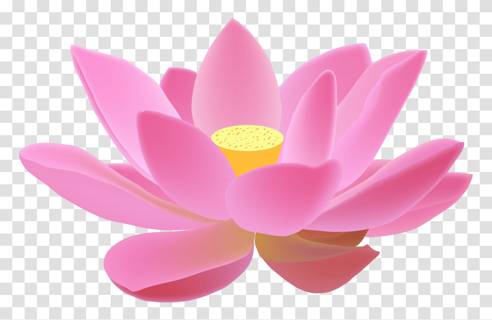 Candle In Lotus Clip Art Lotus Images, Plant, Flower, Blossom, Lily Transparent Png