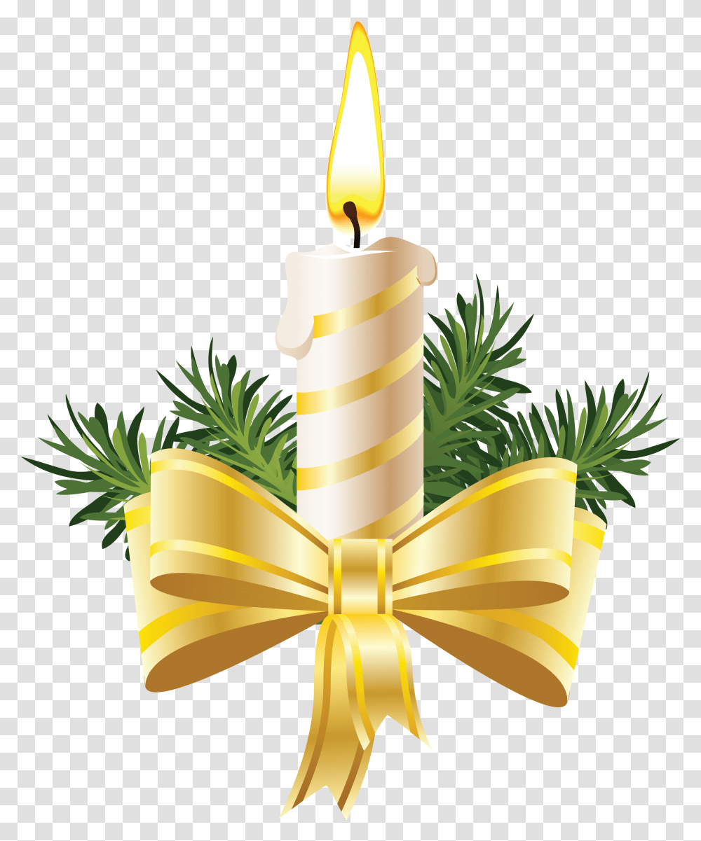 Candle, Plant, Tree, Gift Transparent Png