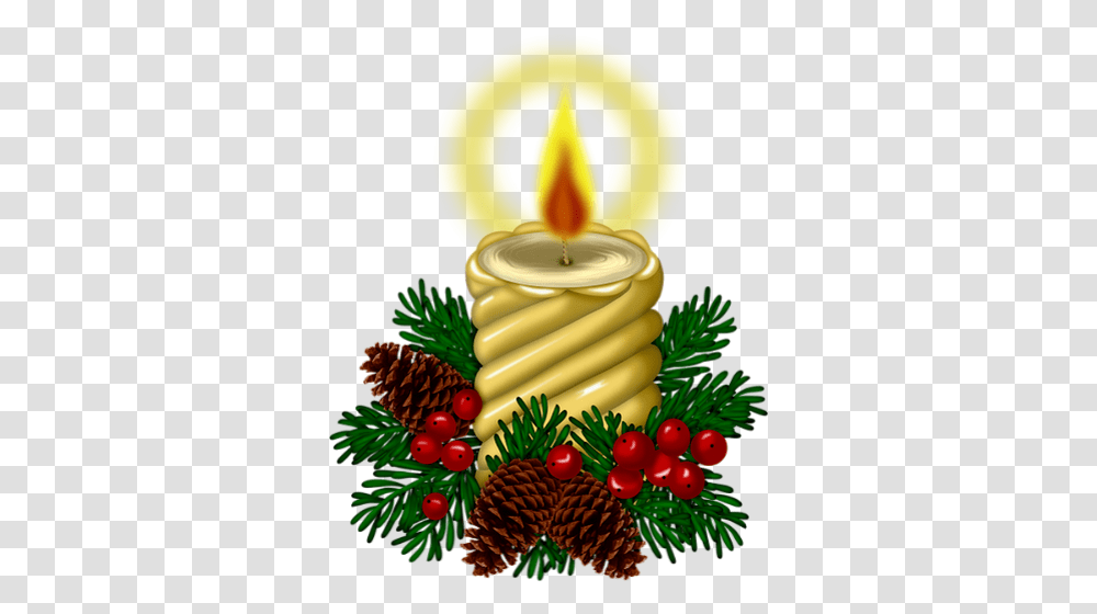 Candles, Plant Transparent Png