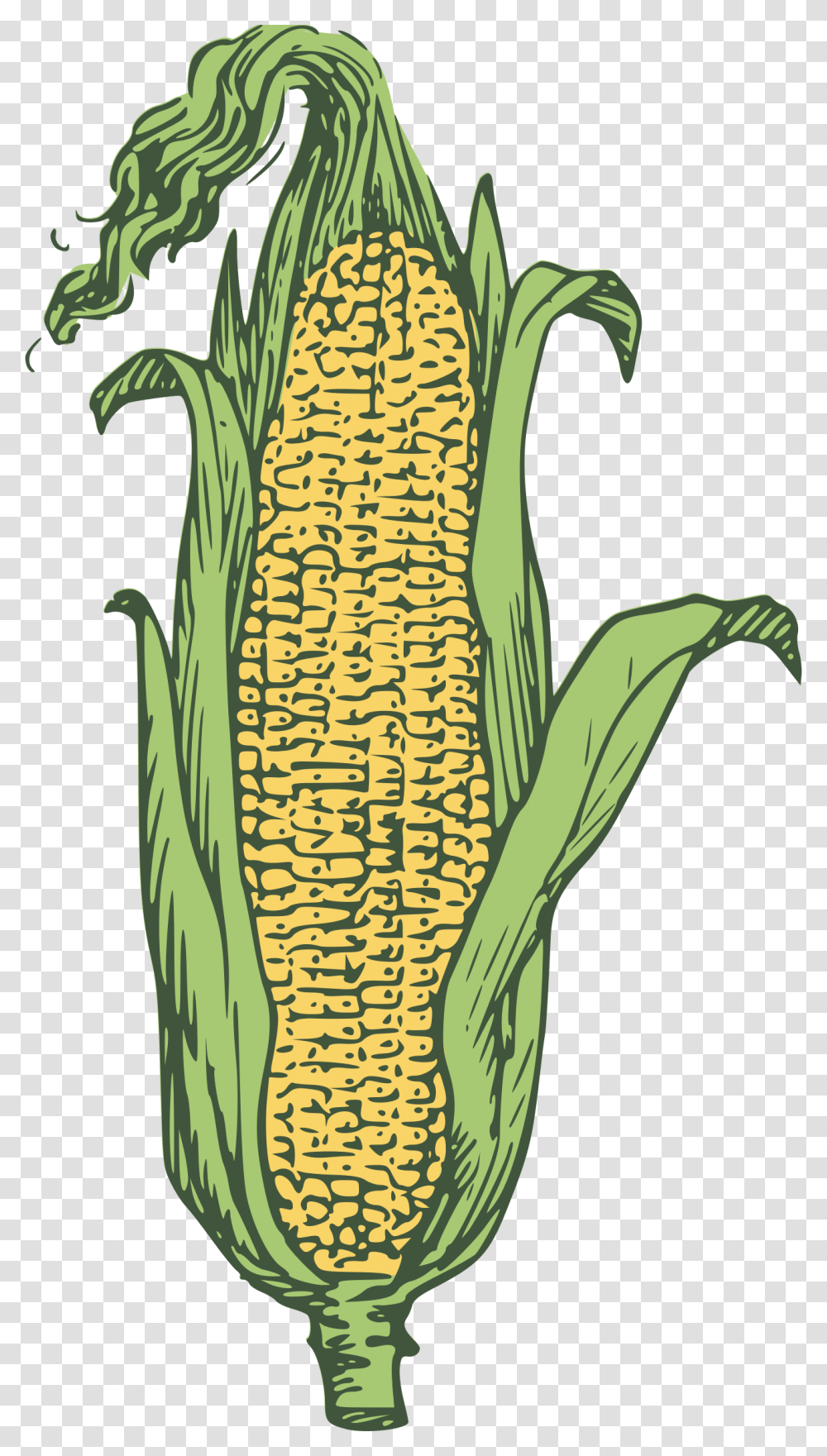 Candy Corn Corn On The Cob Popcorn Maize Ear Grain As Big As A Hen's Egg, Plant, Vegetable, Food, Bird Transparent Png
