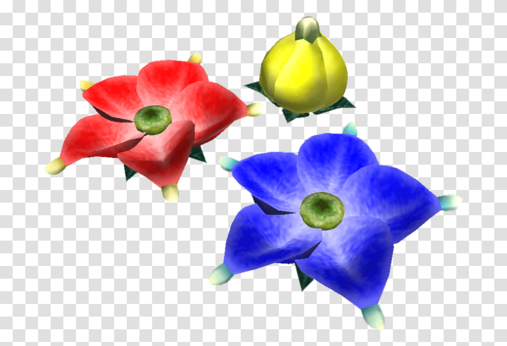 Candypop Bud, Plant, Petal, Flower, Blossom Transparent Png