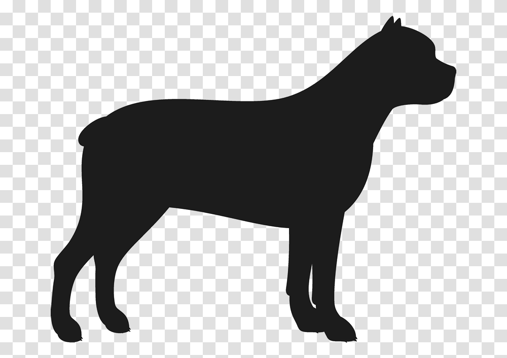 Cane Corso Stamp Dog Cat Amp Fur Baby Stamps Rottweiler Silhouette, Mammal, Animal, Wildlife, Panther Transparent Png