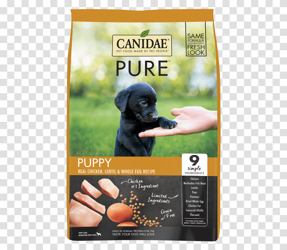 Canidae Pure, Advertisement, Poster, Flyer, Paper Transparent Png