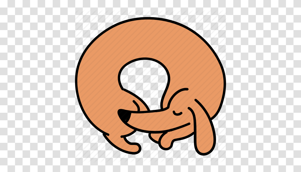 Canine Curl Dachshund Dog Pet Sleep Icon, Label, Food, Hip Transparent Png