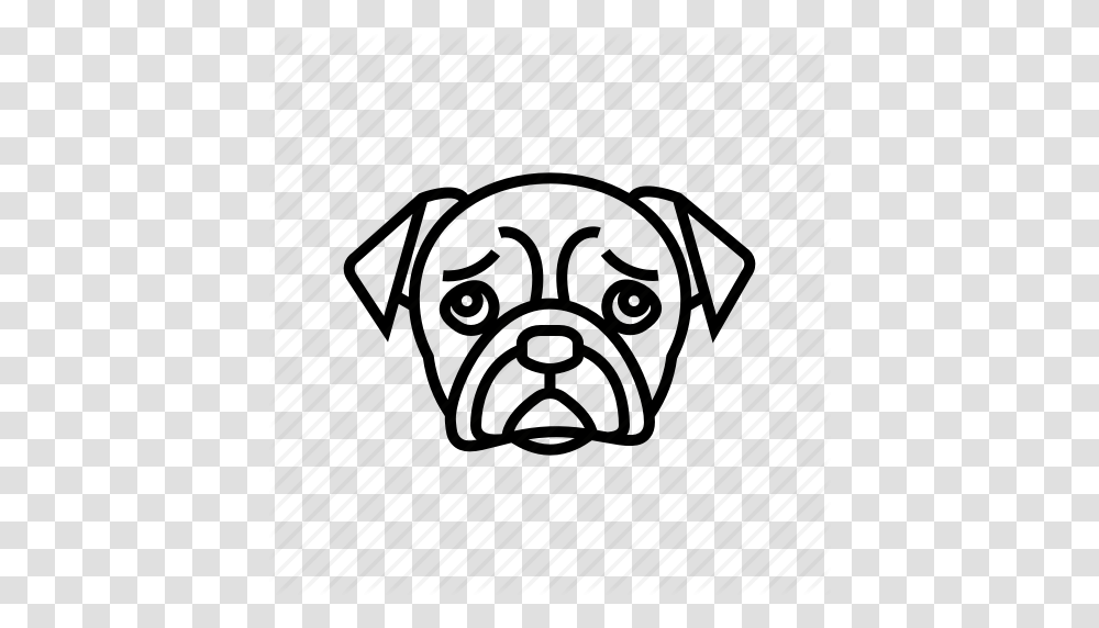 Canine Dog Dog Head Pet Pet Shop Icon, Security, Helmet Transparent Png