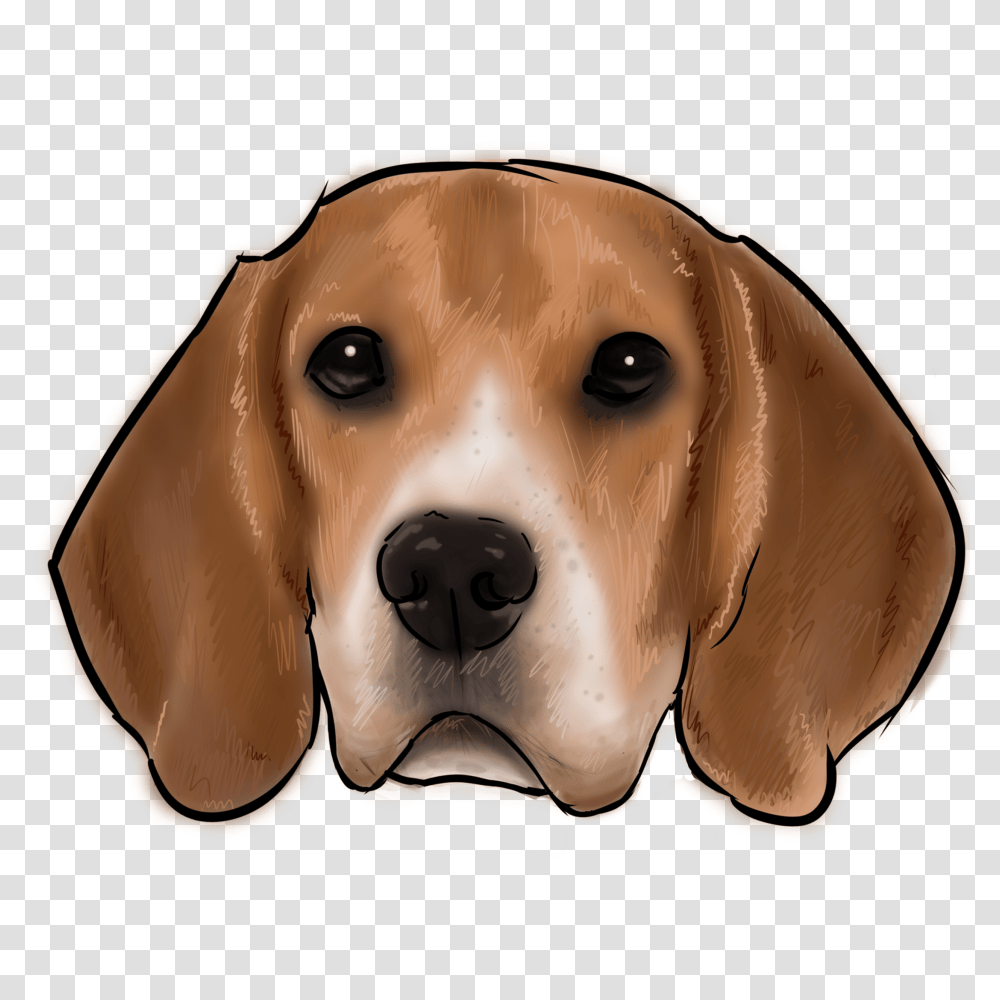 Canine, Mammal, Animal, Pet Transparent Png