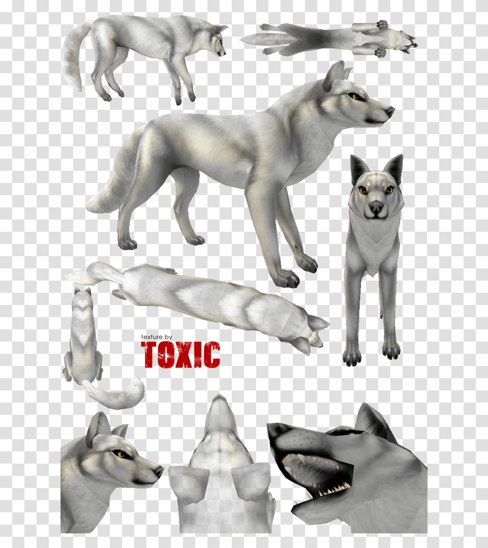 Canine Texture Free By Toxic Red Wolf Feral Heart Preset Textures, Mammal, Animal, Dog, Pet Transparent Png