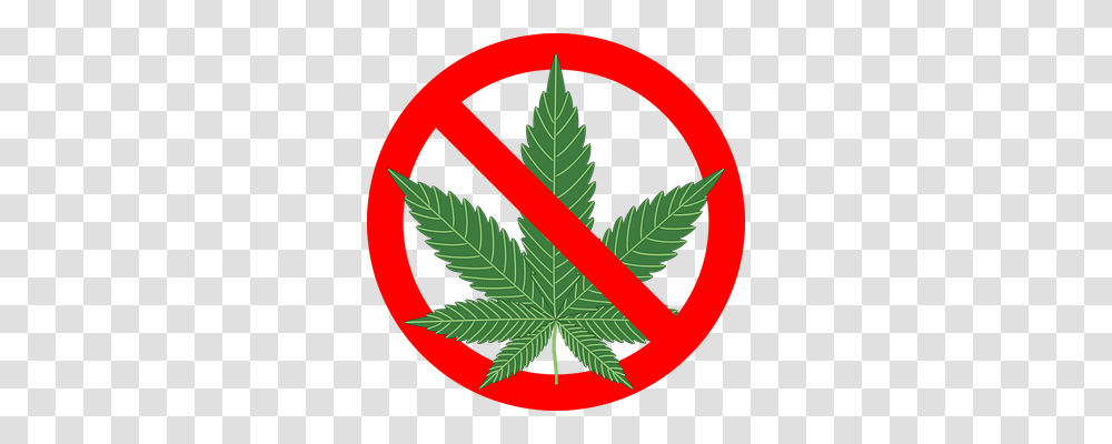 Cannabis Nature, Plant, Leaf, Weed Transparent Png