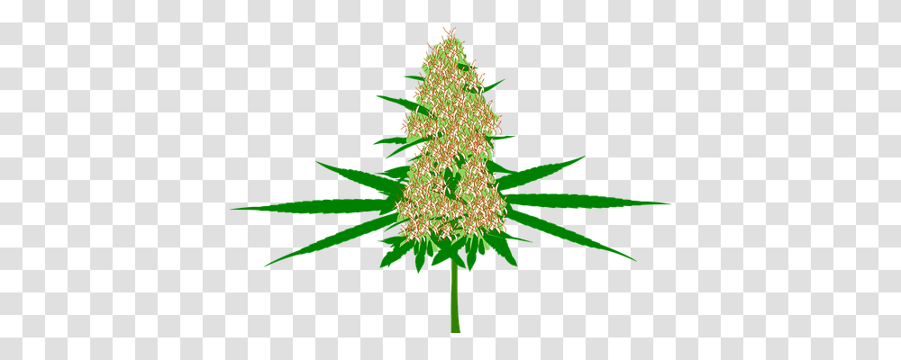 Cannabis Technology, Plant, Tree, Ornament Transparent Png