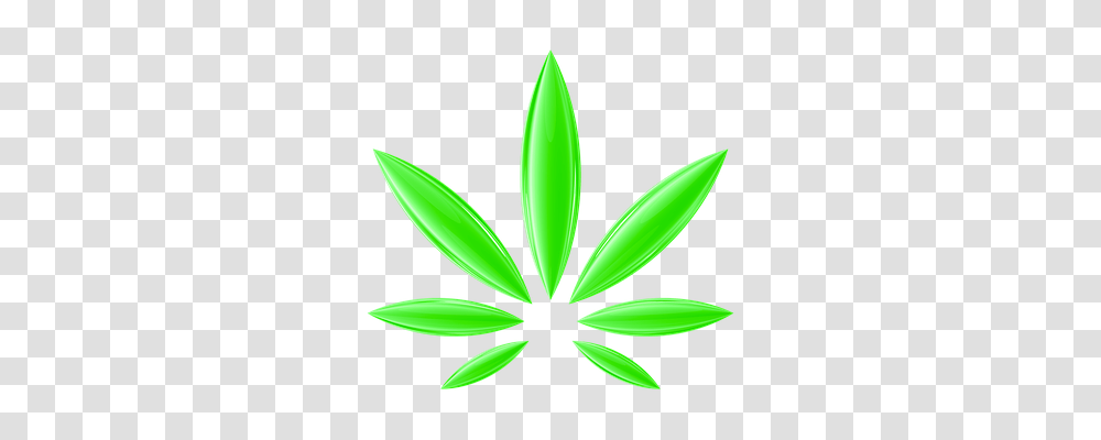 Cannabis Leaf, Plant, Flower, Blossom Transparent Png