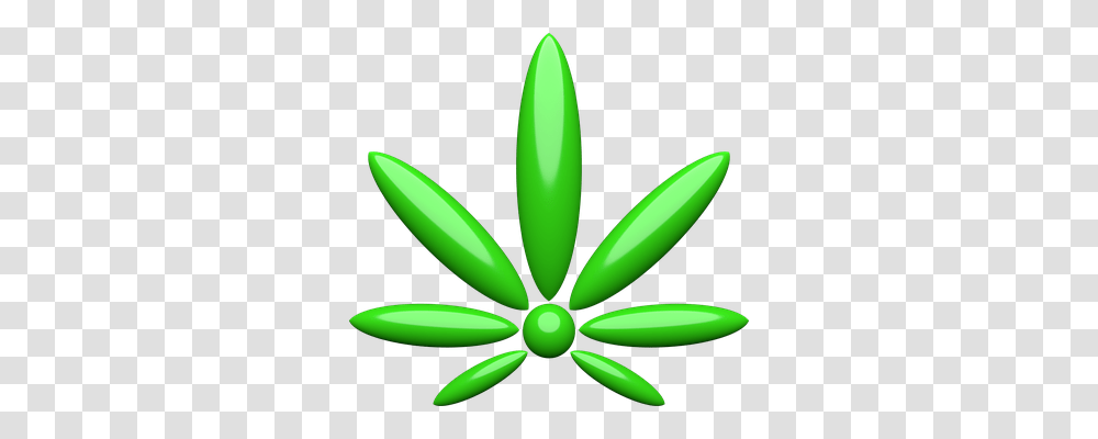 Cannabis Plant, Flower, Blossom, Banana Transparent Png